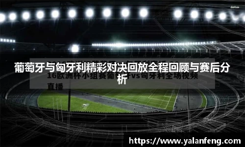 完美体育官方网站