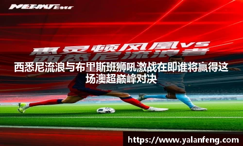 完美体育官方网站