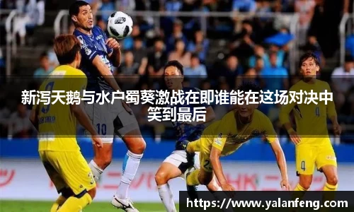 完美(中国)体育